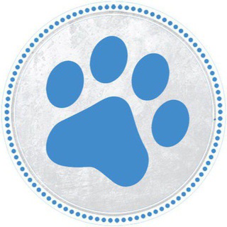 Логотип @v_mire_zhivotnikh_seversk - В Мире Животных - Северск (дайджест)