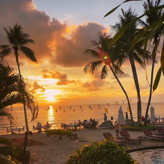 Логотип @v_usa_cherez_meksiku - В США ЧЕРЕЗ МЕКСИКУ