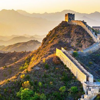 Логотип @v_y_s_channel - © Правовая помощь "СТЕНА"