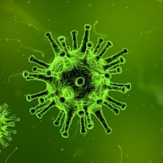 Логотип @vaccinesnononsense - О прививках без истерик (Елена Савинова)