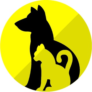 Логотип @vadeanimales - VaDeAnimales