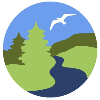 Логотип @vagant1221 - In the Forests/On the Hills