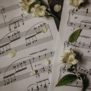 Логотип @vaibtrekiu - вайбовые треки из тт 🤍