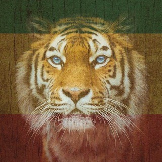 Логотип @valdisreggae - Valdis Reggae