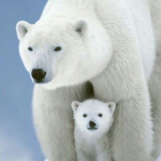 Логотип @valeriagirina - Про детей. Валерия Гирина