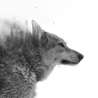 Логотип @valhalla_today - Walhalla_Today