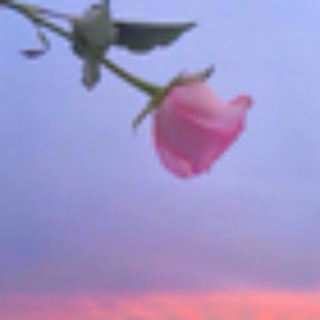 Логотип @valyusha_nolifer - Valyusha