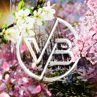 Логотип @vancejvcr - VisaBless