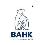 Логотип @vangk_official - ВАНК