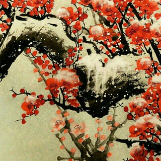 Логотип @vaqatooo - Oootaqav