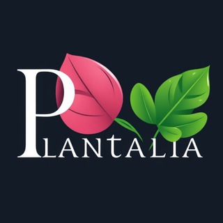 Логотип @variegatka - 🎬 КИНОХИТ