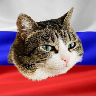 Логотип @varonina - Varonina