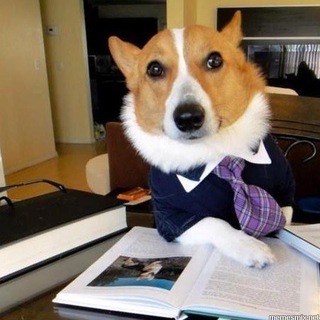 Логотип @vash_advokat24 - Ваш Адвокат 24/7