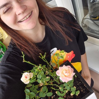 Логотип @vashamasha_vtg - Ваша Маша