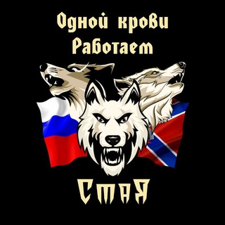 Логотип @vashastaya - СтаЯ. Одной крови.