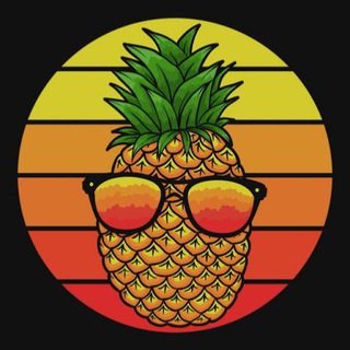 Логотип @vashhack - Vash hack