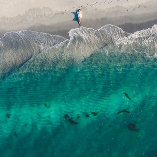 Логотип @vasilinatravel - Vasilina_travel