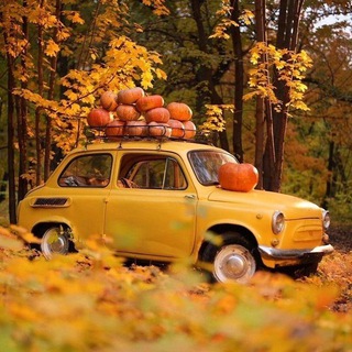 Логотип @vasis5 - На даче в Подмосковье😁