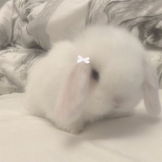 Логотип @vaskkxwk - ˚ʚ♡ɞ˚васькк˚ʚ♡ɞ˚