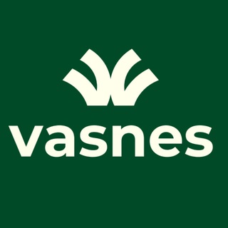 Логотип @vasnes_bukhara - 1001 МЕЛОЧЬ VASNES