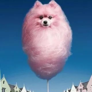 Логотип @vatadv - ВатаДВ