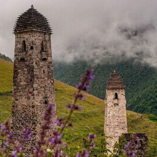 Логотип @vayn_glillakh - Вайн гӀиллакх