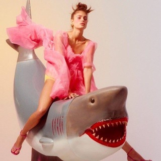 Логотип @vblovu - Заверните мне всё!