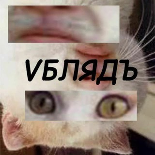 Логотип @vblyad - VБЛЯДЪ