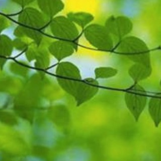 Логотип @vda_vesna - ВДА "Весна". Инфочат