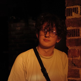 Логотип @vdirekt - шевчик через и