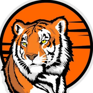 Логотип @vdk_tiger_vladivostok25 - 🐯 Владивосток 🌇 Новости Сейчас | Приморский край 💎 VDK_Tiger Приморье