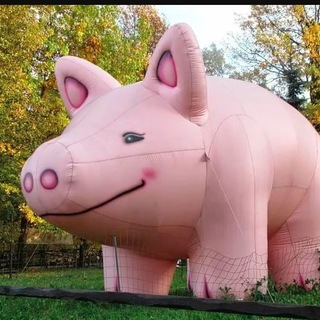 Логотип @vdnhchat1 - VDNH 80 XXl (ВДНХ) Chat