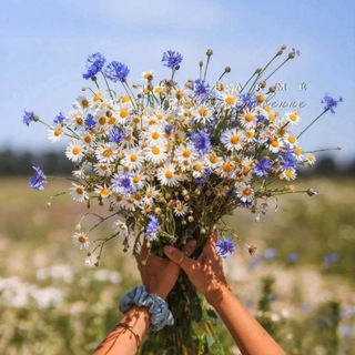 Логотип @vdohmoi - Очарование