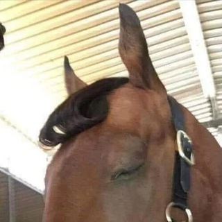 Логотип @vechiro4ka - жюлі від 𝟝 до 𝟟 🪤