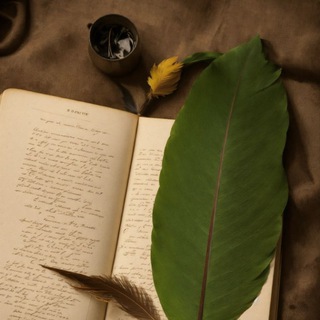 Логотип @vechnaya_klassika - Вечная классика 🪶