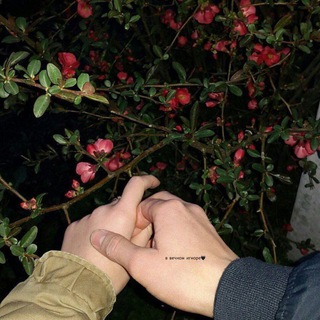 Логотип @vechniy_ignor - В вечном игноре🖤