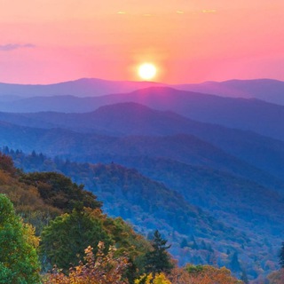 Логотип @vedalifestudioriga - Мероприятия от Tamara Vedalife