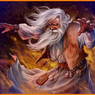 Логотип @vediga - ВЕДАГОР