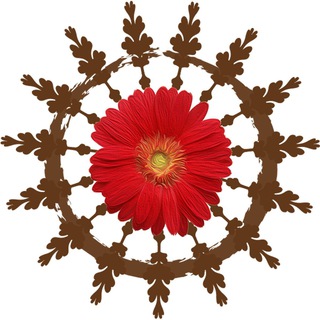 Логотип @veditarot - Ведичка - Vedi Tarot