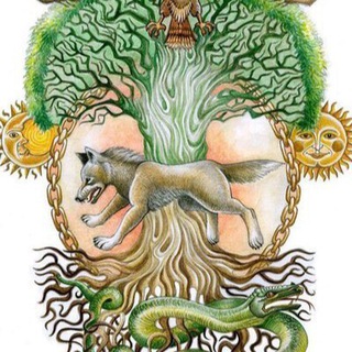 Логотип @vedmed_zdravomislie - ВЕДЪМЕДЪ Chat