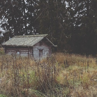 Логотип @vedmino_podpolye - В подполье