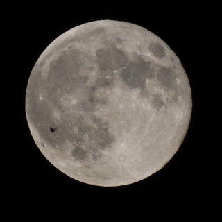 Логотип @veertigo - VERTIGO