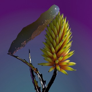 Логотип @vegetation_channel - VEGETATION