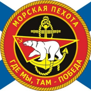 Логотип @veglivyimedved - Вежливый Медведь