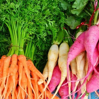 Логотип @vegpoll - VEG POL
