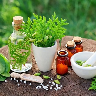 Логотип @vegrawspirit - Натуропатия 🍄 ежовик, йод, Иве, АСД-2, перекись водорода, МСМ и тд