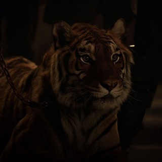 Логотип @vekrolok - ⌯۰ ۪۫𝘷𝘦𝘬𝘴