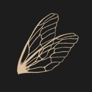 Логотип @vel_wendel_wtite - Валентина Вендельская | Сказки о призраках