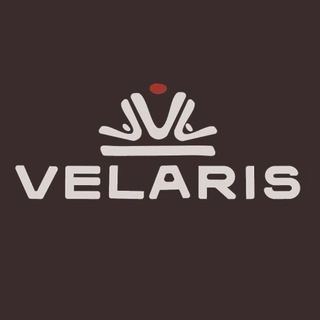 Логотип @velarishome - ДОМ VELARIS