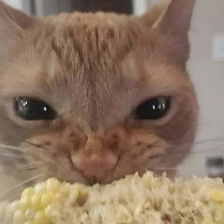 Логотип @veleblog - Кооператив "Озеро"